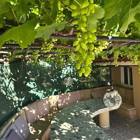 Casa Loma Rhodes - Pool Vila,private Bar,organic Garden,near Airport Vila Ialysos (Rhodes)